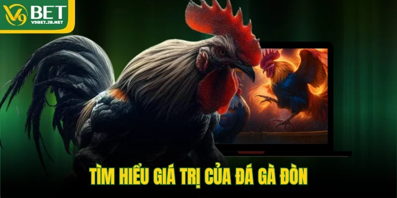 Tìm hiểu giá trị của đá gà đòn 